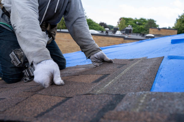 Best Roof Maintenance Services  in Lakeview, WA
